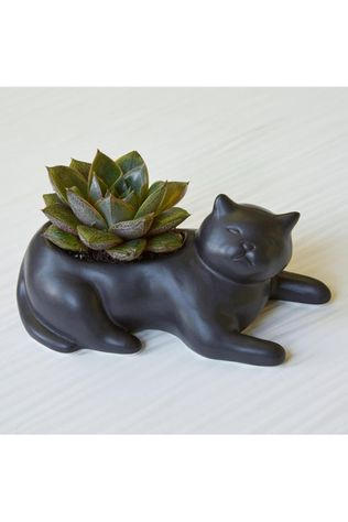 Gadget Cosmo The Black Cat Planter