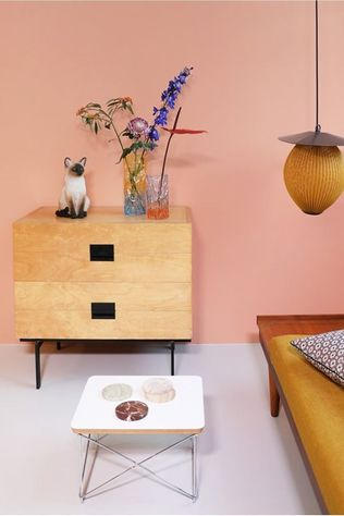 Accessoire Maison Tirelire Siamese